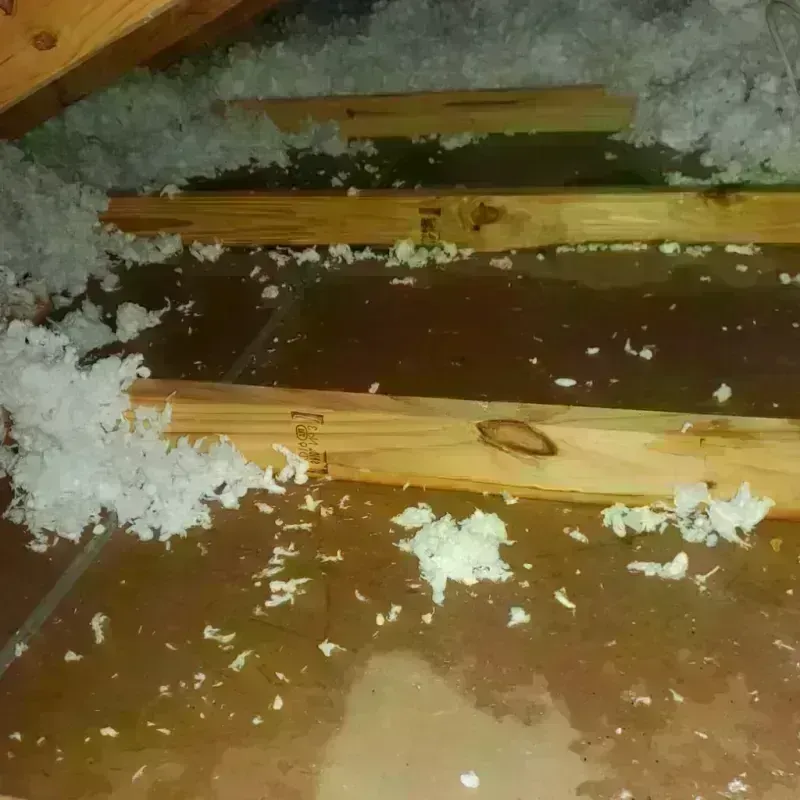 Attic Water Damage in Fern Acres, HI